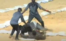 Gris 2 malmène Abdou Diouf et le terrasse en 1 minute