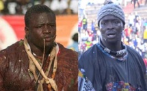 Papa Sow sur son combat contre Siteu « Les amateurs attendent la clarification de notre duel »