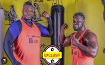 Eumeu Sène-Tapha Tine : le choc des muscles aujourd’hui