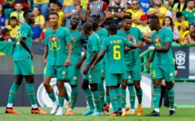 Équipe Nationale : le programme des Lions en mars dévoilé