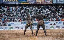 Sanctions financières : Sa Thiès perd plus de 2 millions, Modou Lô….